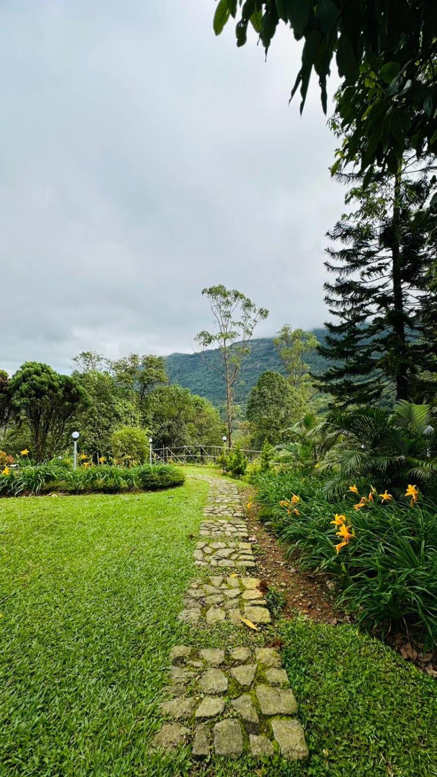 Wild Elephant Resort Kallar Vattiyar 外观 照片